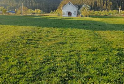 Vindem proprietate in orasul Frasin, Bucsoaia - Bucovina - 10