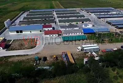 *Fermă modernă pentru export miei | 6 ha | Standarde europene | Aproape de Brăil - 1