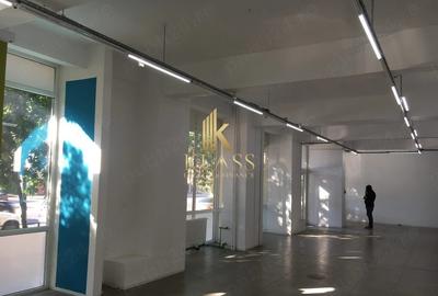 Tineretului  – Parcul Carol – Șerban Vodă | Vitrină 20 ml | 261 mp | Dublu Acces - 1