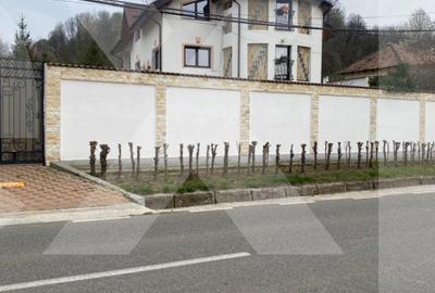 Domeniu de vanzare, Baile Govora(Pausesti-Otasau) cu teren de 20875mp - 7