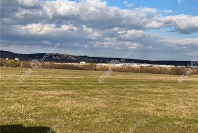 Teren agricol extravilan de 570 mp, în Cristian