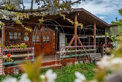 DOMNESTI,VILA INDIVIDUALA,4 CAMERE,258 MP,TEREN 700 MP,AN 2017 - 38