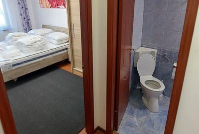 Închiriere Apartament cu 2 camere, renovat, etaj 2, balcon inchis, Titan metrou - 17