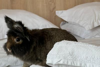 52bca0ad-8365-471a-a2d0-da5deb559552