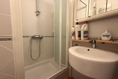 APARTAMENT 3 CAMERE | MEZANIN | PRIMAVERII - 9