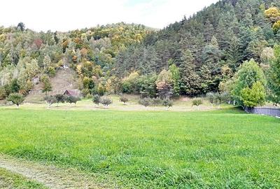 Teren superb de 16240mp, parcelabil, in Bran la intrare in Moeciu de Jos - 2