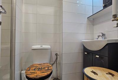 Cismigiu Parc /Sala Palatului-inchiriere apartament 2 camere! Centrala proprie ! - 12