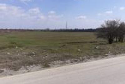 Teren intravilan 10.000 -38.000 mp industrial 1 Decembrie- DN5 stradal - 3