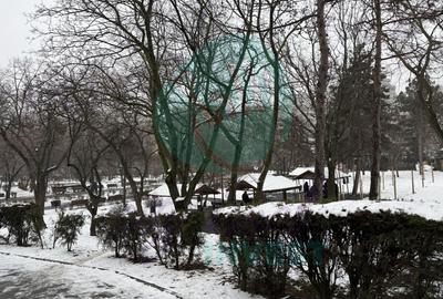 3 camere " LA CHEIE" cu vedere catre Parcul Plumbuita - 31