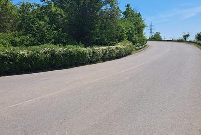 Teren 2500 mp la intrare in Eforie Nord - 2
