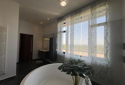 Inchiriere PENTHOUSE 250 mp+ 320 mp terasa| BANEASA- Privighetorilor - 11