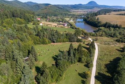 Teren intravilan 6800 mp, zona Lacuri Vulcan, Brașov - 18