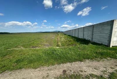 Teren Intravilan 160.000 mp Harman - 2