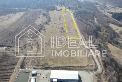 Teren agricol extravilan de 6500 mp, în Cârțișoara