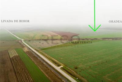 RECO Teren extravilan 5800 mp Livada de Bihor - 2