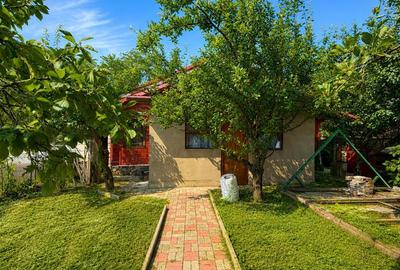 Casa din lemn masiv | 3 camere | Teren 5.000mp -Berceni Prahova - 3