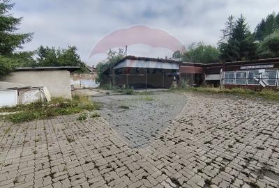 Spațiu industrial de 481mp, cu 1746mp teren în zona Centrala - 1