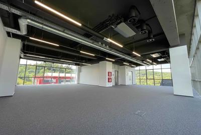 Birou, 186 mp în Grigorescu