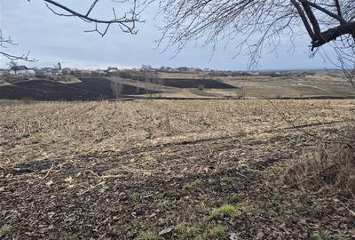 Teren Moara Nica - zona Scolii - 1