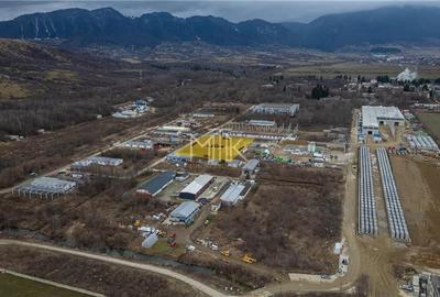Oportunitate Investitie - Parc industrial Zarnesti | Teren 6462MP - 5