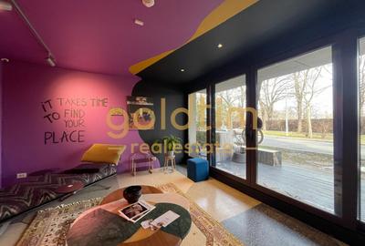 APARTAMENT UNIC/CONCEPT HOUSE/DESIGN/SERVICII HOTELIERECOMPLETE/PRIMAVERII - 52