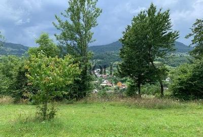 Teren intravilan 5360mp Bistrita Nasaud | Tiha Bârgăului - 3
