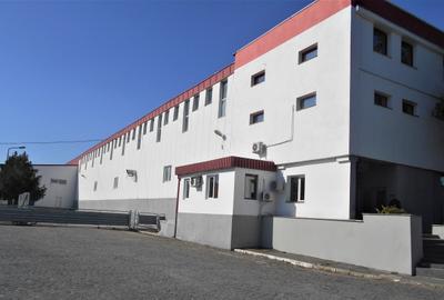Hala industriala cu pod rulant de inchiriat Lugoj - 3