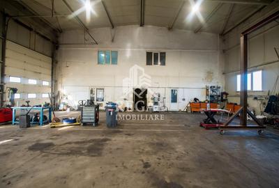 HALĂ INDUSTRIALĂ DE VÂNZARE – CRISTUR (Hunedoara – Deva) - 10