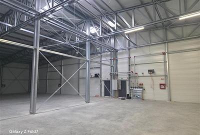 Inchiriere depozit/hala/spatiu industrial Mogosoaia - Buftea - 42