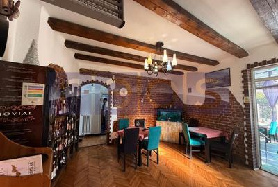 VANZARE VILA PONTENTIAL BUSINESS | ZONA DRISTOR BABA NOVAC | D+P+1E+M - 7