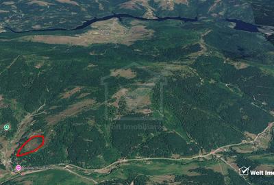 Eco Retreat Land in Apuseni Romania - Poiana Horea - 2