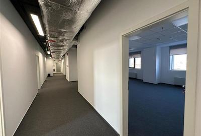 Inchiriere spatii de birouri in City Business Center - 440 mp - 13