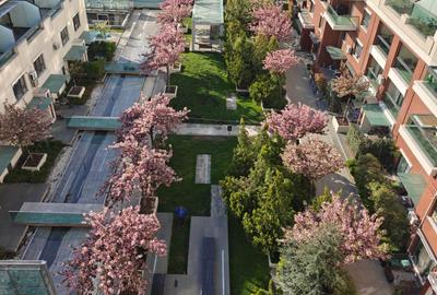 Emerald Residence Lacul Tei fostul club Bamboo apartament cu view catre lac - 10