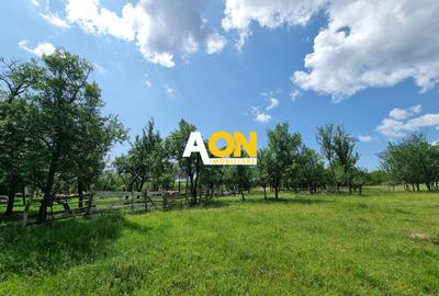 Teren Construcții intravilan de 5898 mp, în Periferie