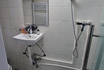 Vila interbelica in inima Zonei Eminescu -Toamnei - 11