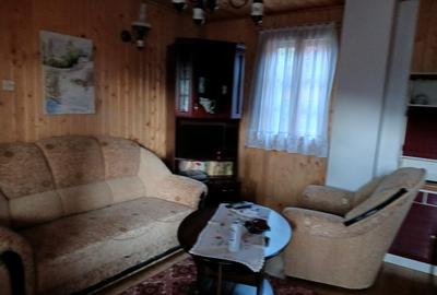 CASA DE VACANTA LA DOMENIUL SCHIABIL SUREANU LUNCILE PRIGOANEI - 3