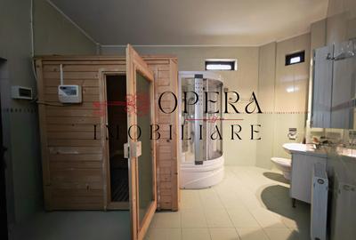 Vila individuala deosebita, de vanzare, zona Popas Pacurari - 8