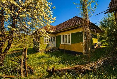 Domeniu de 3.400 mp cu traditionala casa, Suveica, Acatari Mures - 10
