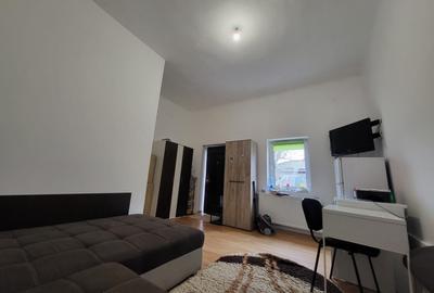 Cameră la  Vilă în Copou Sararie  CUZA UMF Agronomie - 6