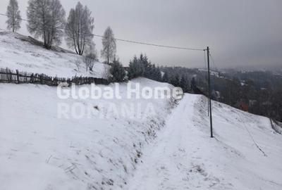 Teren 725 MP | Moieciu de Jos | Piatra Craiului | Oportunitate de investitie | - 5