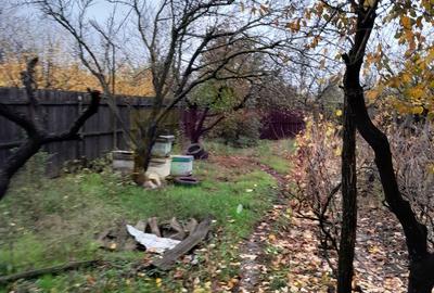 DE VANZARE CASA IN COM. BRANESTI (IF) - 49