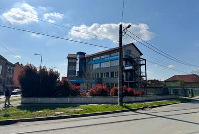Cladire de inchiriat, curte proprie, 834 mp utili, Timisoara - 3