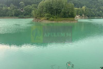 Teren cu deschidere la lac – Valea Doftanei, Prahova - 3
