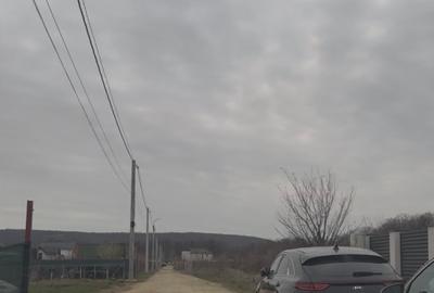 📍 Teren intravilan Premium – 538 mp | Aleea Bradului 59, Smeura – Moșoaia - 8