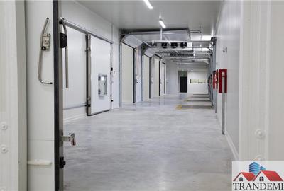 Oferta investitie -1300mp hala depozitare cu temperatura controlata - 16