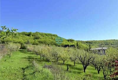 Vand teren intravilan, 2566 mp in Corunca situat intr-o zona linistita si intima - 1