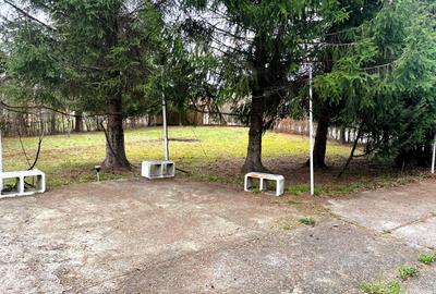 Teren de vanzare intravilan 1351 mp, gaz, apa, Sibiel-Vale - 5