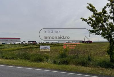 Teren intravilan | 4.900 mp | Depozit Profi | Acces drum betonat - 1