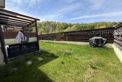 Casă individuala de închiriat în Făget –liniște, natură și aer curat - 16