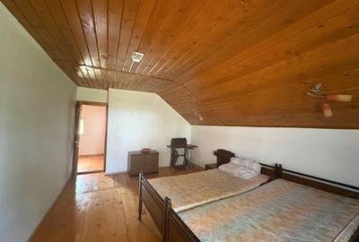 Cabana 100mp cu 30 ari teren 160000eur neg - 10